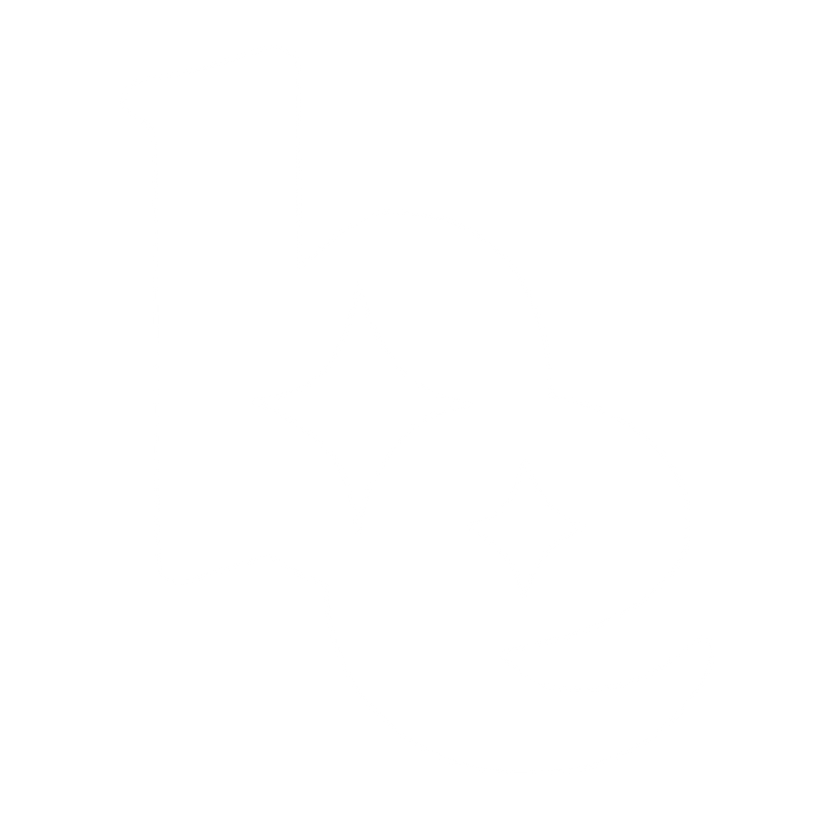 be everthine logo
